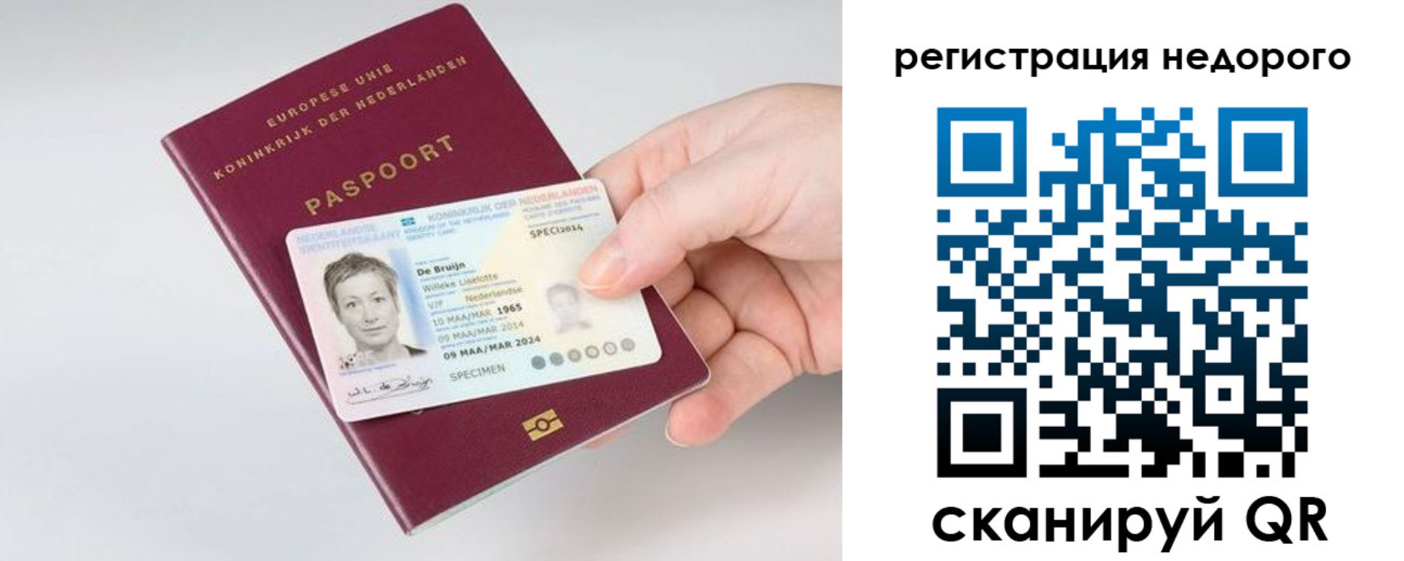 временная регистрация гарантия в Сунже
